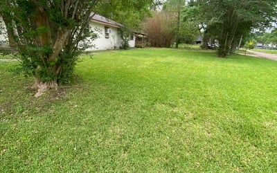 Photo of Michele K.'s yard after getting lawn care in Walker, LA