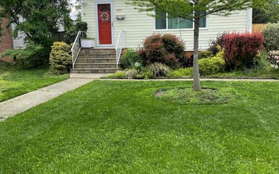 Photo of Megan C.'s yard after getting lawn care in Winchester, VA