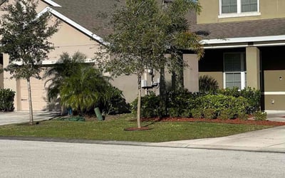 Photo of Kami A.'s yard after getting lawn care in Indialantic, FL