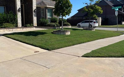 Photo of Rachael G.'s yard after getting lawn care in Benbrook, TX