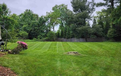 Photo of William B.'s yard after getting lawn care in Rockville, MD