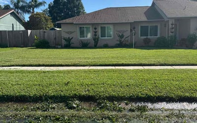 Photo of Robert A.'s yard after getting lawn care in Melbourne, FL