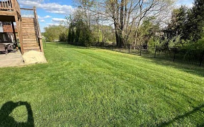 Photo of Jessica G.'s yard after getting lawn care in Salem, IN