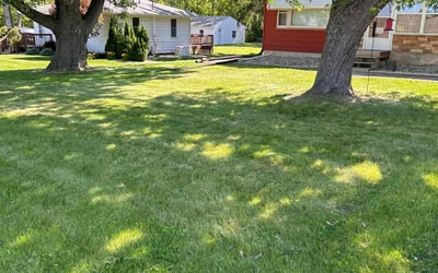 Photo of Jennifer W.'s yard after getting lawn care in Merrillville, IN
