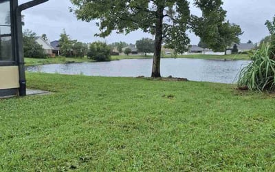 Photo of Zimer V.'s yard after getting lawn care in Waldorf, MD