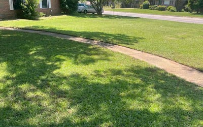 Photo of Elizabeth B.'s yard after getting lawn care in Portland, TX