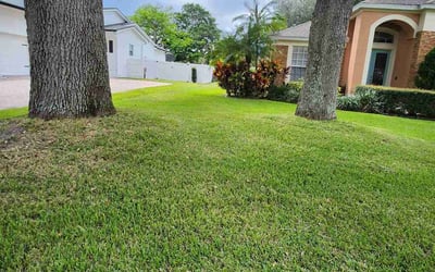 Photo of Anibal A.'s yard after getting lawn care in Lady Lake, FL
