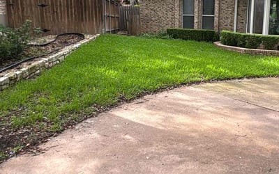 Photo of Matt H.'s yard after getting lawn care in Fort Worth, TX