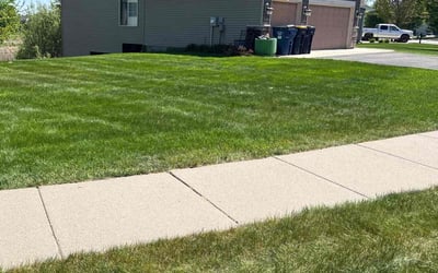 Photo of Alex W.'s yard after getting lawn care in Plant City, FL