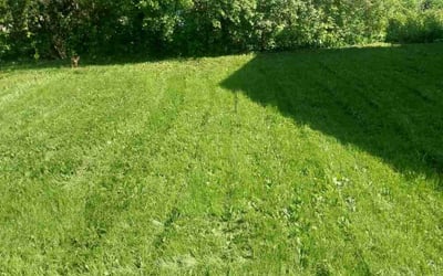 Photo of Zac S.'s yard after getting lawn care in South Milwaukee, WI