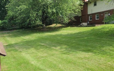 Photo of Sean R.'s yard after getting lawn care in Durham, NC