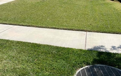 Photo of Fabio D.'s yard after getting lawn care in Fontana, CA