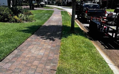Photo of Arunprakash D.'s yard after getting lawn care in Little Elm, TX