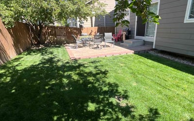 Photo of Jessica F.'s yard after getting lawn care in Aurora, CO