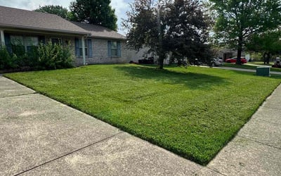 Photo of Aimee H.'s yard after getting lawn care in Charlestown, IN