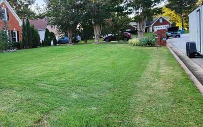 Photo of Jerimy N.'s yard after getting lawn care in Roy, UT