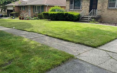 Photo of Molly A.'s yard after getting lawn care in East Aurora, NY