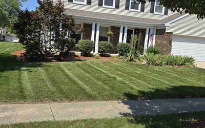 Photo of Crystal P.'s yard after getting lawn care in Schaumburg, IL