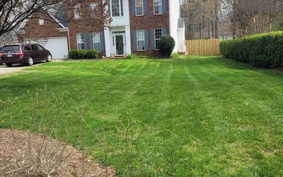Photo of Stacy S.'s yard after getting lawn care in Raeford, NC