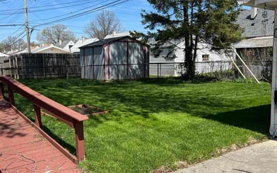 Photo of Alicia S.'s yard after getting lawn care in Modesto, CA