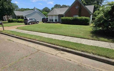 Photo of Julie G.'s yard after getting lawn care in Millington, TN