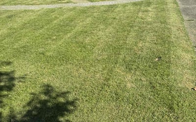 Photo of Tim S.'s yard after getting lawn care in Cranberry Twp, PA