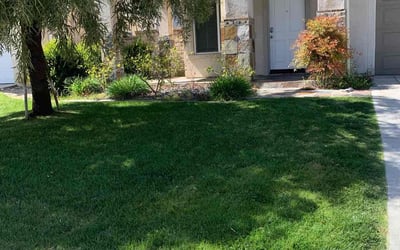 Photo of Lamont H.'s yard after getting lawn care in Rancho Cucamonga, CA