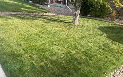 Photo of Karen B.'s yard after getting lawn care in Highlands Ranch, CO