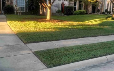 Photo of Caryn C.'s yard after getting lawn care in Keller, TX