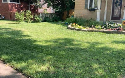 Photo of Eseroghene O.'s yard after getting lawn care in Arlington Heights, IL