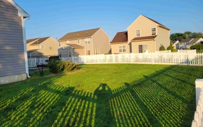 Photo of Ibrahim J.'s yard after getting lawn care in Malvern, PA