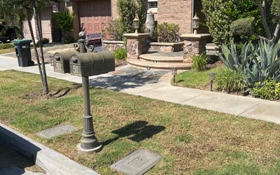 Photo of Mary K.'s yard after getting lawn care in Irvine, CA