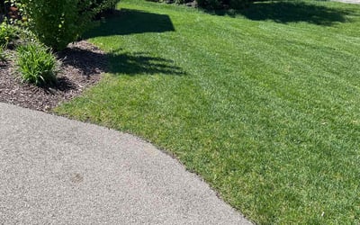 Photo of Karinne H.'s yard after getting lawn care in Alsip, IL