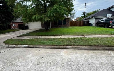 Photo of Shawn G.'s yard after getting tree care in Chico, CA