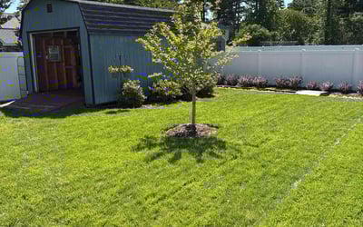 Photo of Jim K.'s yard after getting lawn care in Portage, WI