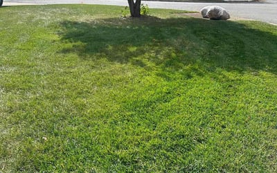 Photo of Ariel H.'s yard after getting lawn care in Bremerton, WA