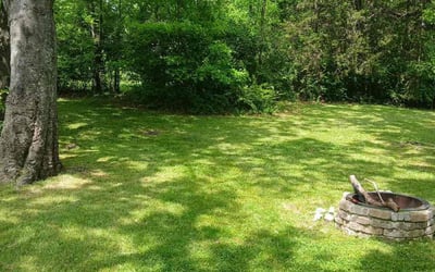 Photo of C.M. B.'s yard after getting lawn care in Nashville, TN