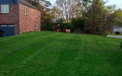 Photo of Lauren K.'s yard after getting lawn care in Denver, NC