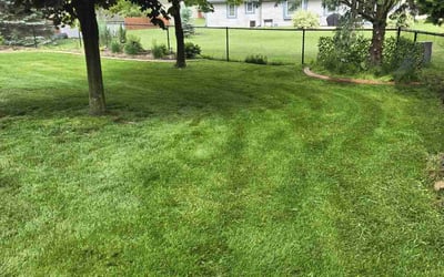 Photo of Michael K.'s yard after getting lawn care in Hiram, GA