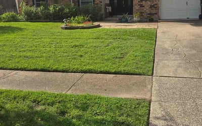Photo of Erica H.'s yard after getting lawn care in Cloverleaf, TX