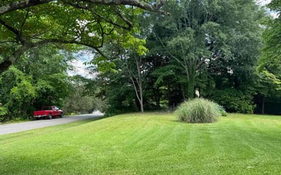 Photo of Kaylee B.'s yard after getting lawn care in Westbury, NY