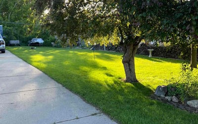 Photo of Nina E.'s yard after getting lawn care in Burlington, WI