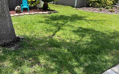 Photo of Victoria K.'s yard after getting lawn care in Latrobe, PA