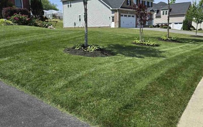 Photo of Susan D.'s yard after getting lawn care in Plum, PA