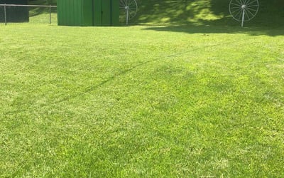 Photo of Erin R.'s yard after getting lawn care in Rock Island, IL
