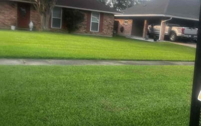 Photo of Damien O.'s yard after getting lawn care in Temple, TX