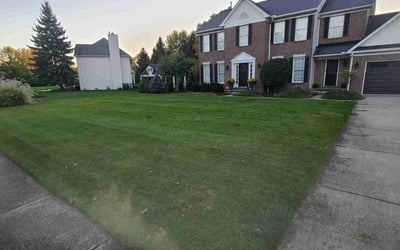 Photo of Daniel R.'s yard after getting lawn care in Avon Lake, OH