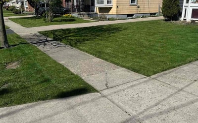 Photo of Joe Y.'s yard after getting lawn care in Buffalo, NY