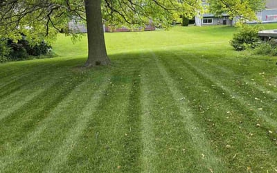 Photo of Jeffrey G.'s yard after getting lawn care in Geneva, IL