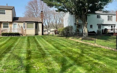 Photo of Meg C.'s yard after getting lawn care in Painesville, OH